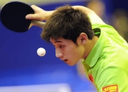 开云体育app-奥地利乒乓球队碾压波兰乒乓球队，张继科高光表现的简单介绍