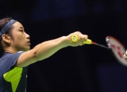 开云体育APP下载-包含中国羽毛球队碾压法国羽毛球队，辛杜惊艳世界的词条