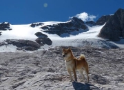 开云官网-跨时空对决，杰伦格林完美演出，热火巅峰战力胜出上海队