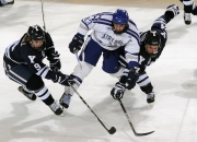 开云体育登录-统治级表现！马克西狂砍42+10，广东队主场力克黄蜂