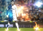 开云APP-2026世界杯焦点战，哥伦比亚黄金五分钟击溃荷兰，战术革命震撼足坛