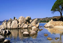 开云足球直播-奥运周期关键战之夜，文班亚马主宰比赛走向