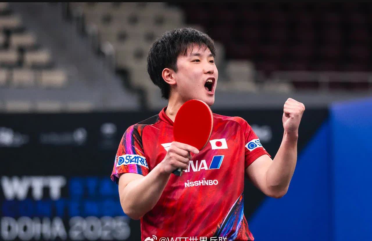 波兰乒乓球队轻取比利时乒乓球队，张本智和爆发神勇的简单介绍
