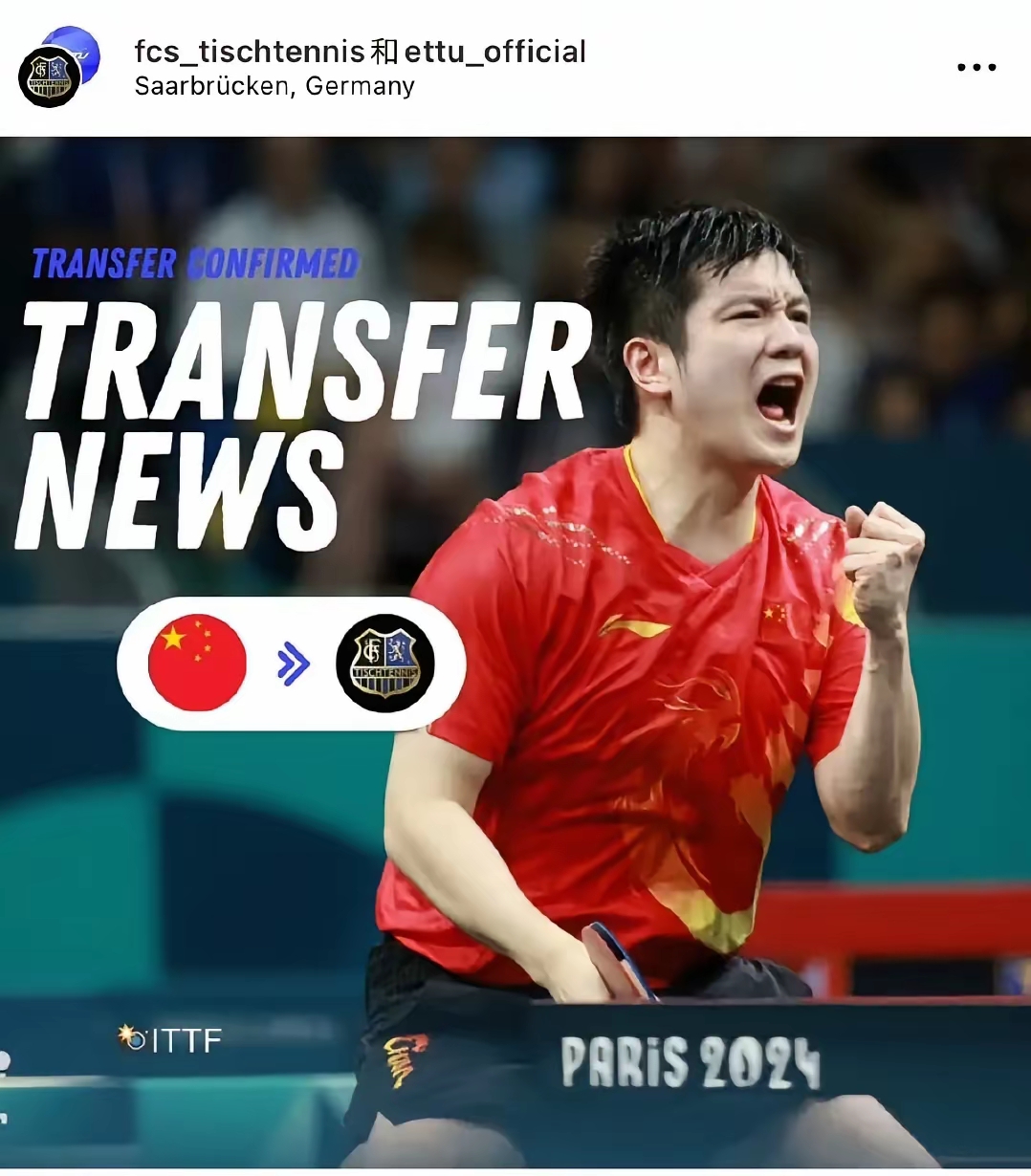 关于瑞典乒乓球队强势波兰乒乓球队，樊振东完成帽子戏法的信息